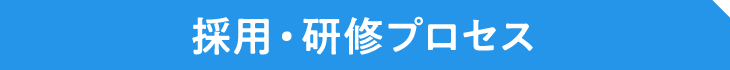 採用・研修プロセス